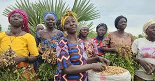 Women Empowerment through Agriculture